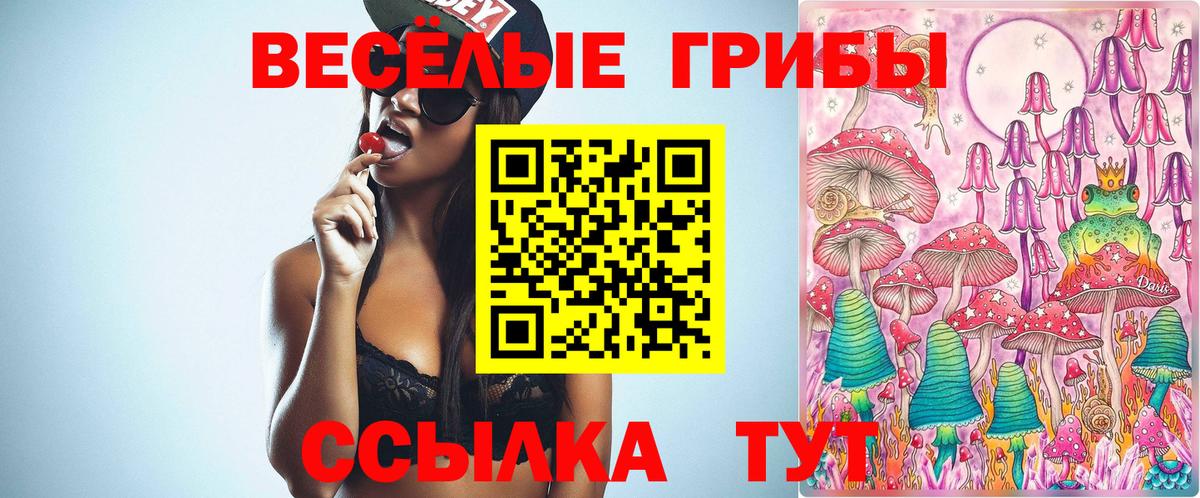 Улан-Удэ  Псилоцибиновые грибы GOLDEN TEACHER  Вход с VPN  Галлюциногенные грибы MAGIC MUSHROOMS 